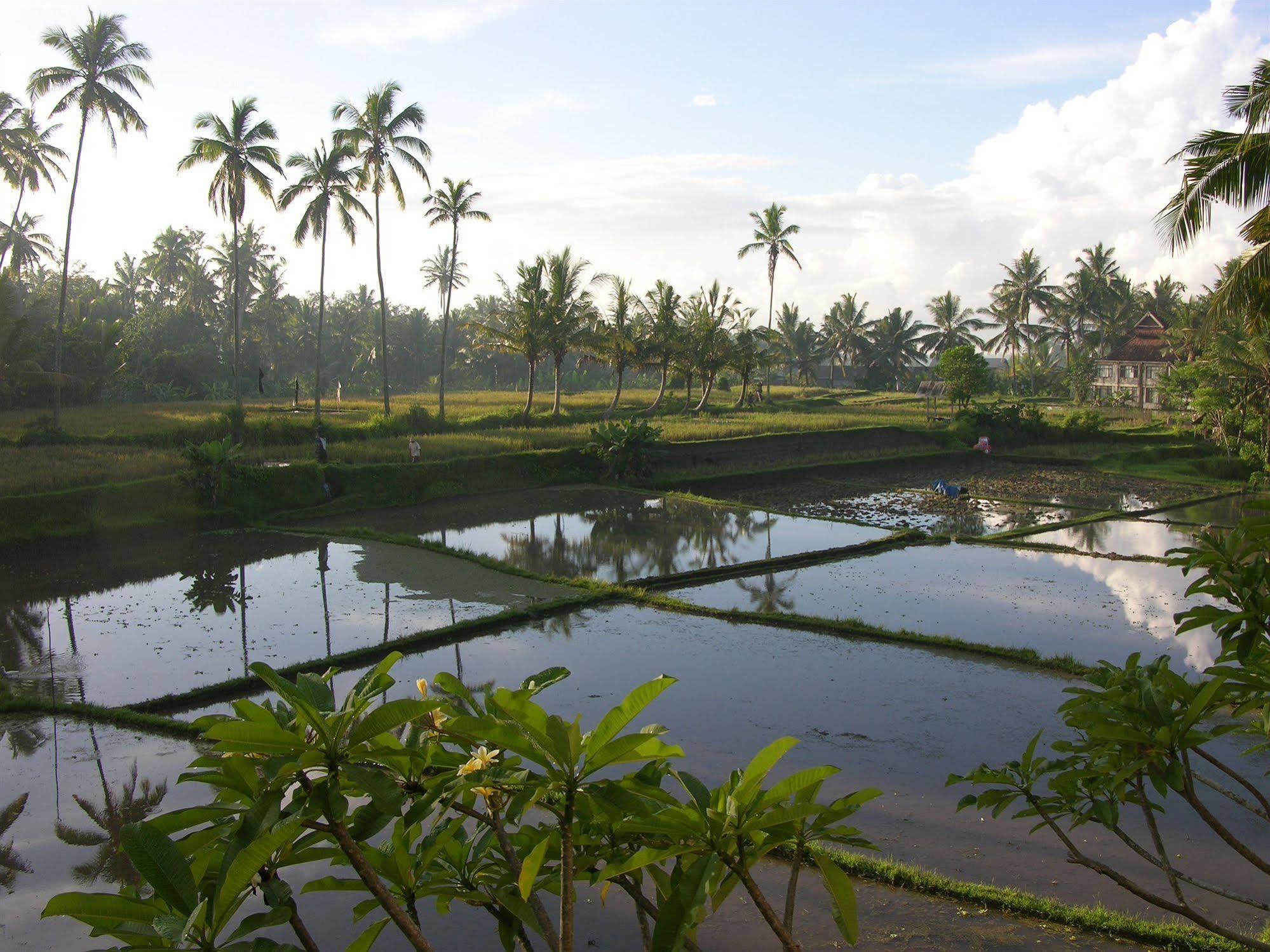 Villa Sabandari Ubud  Exterior photo